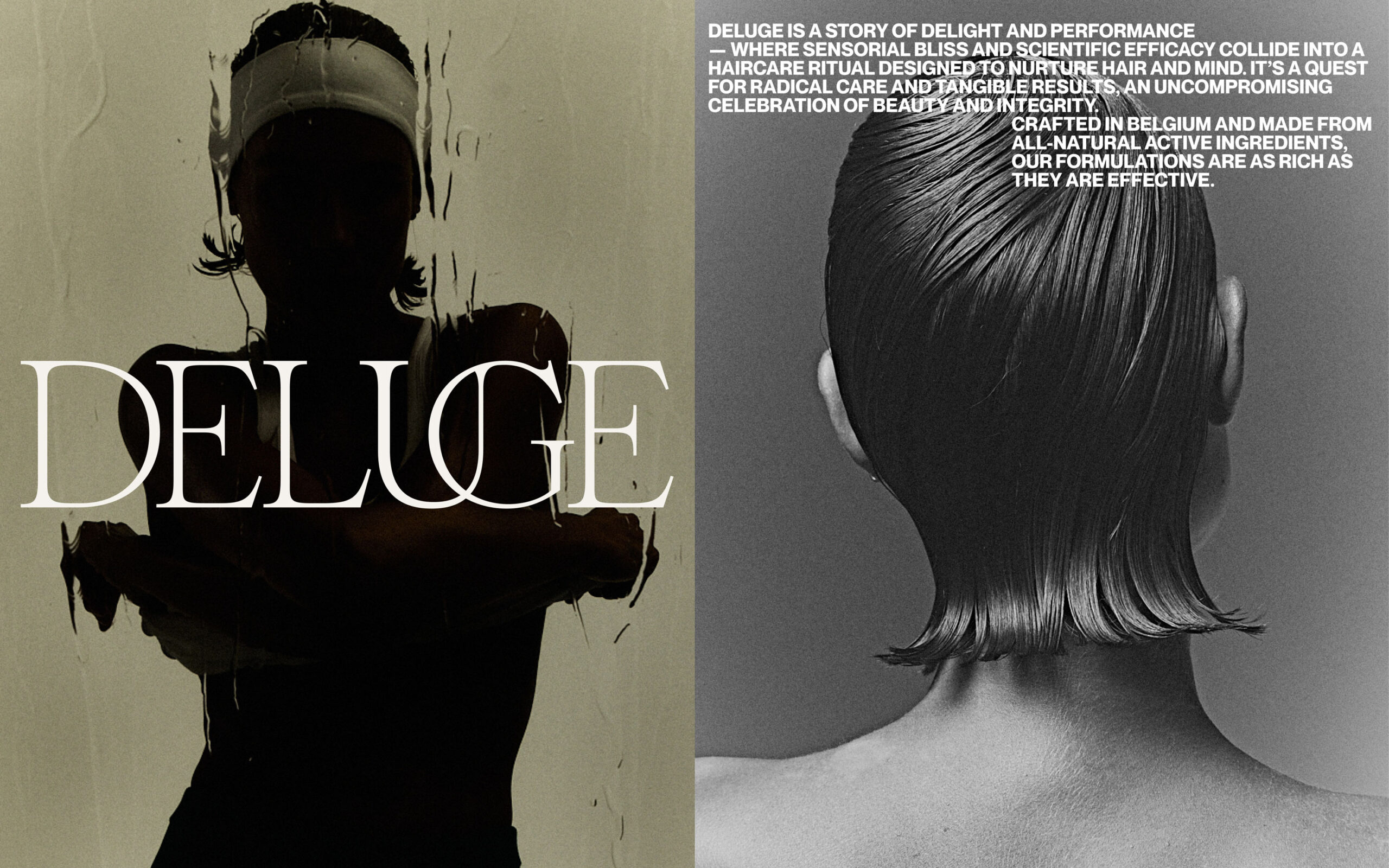 BASE_DELUGE