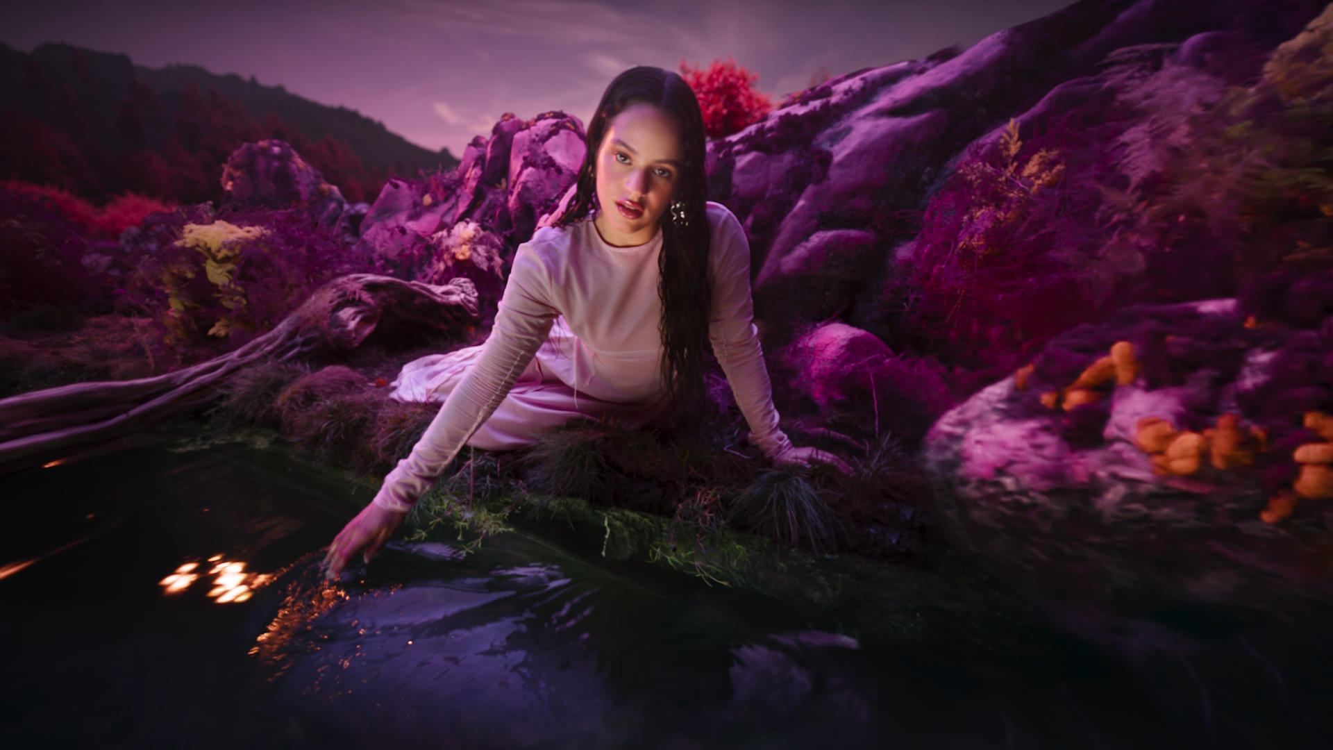 Coca Cola_Rosalia_LLYLM