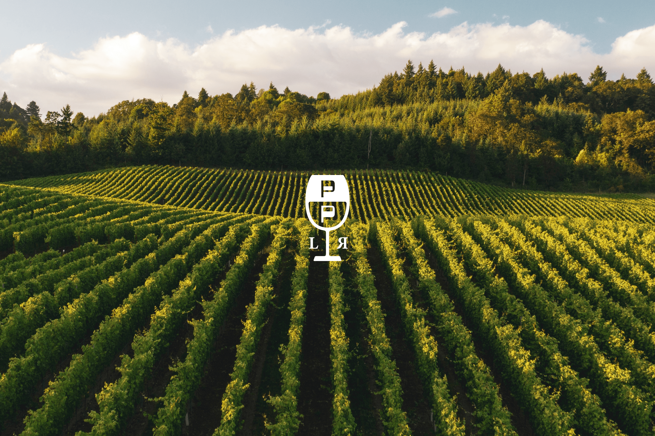 Espina_Pepe Palermo_01