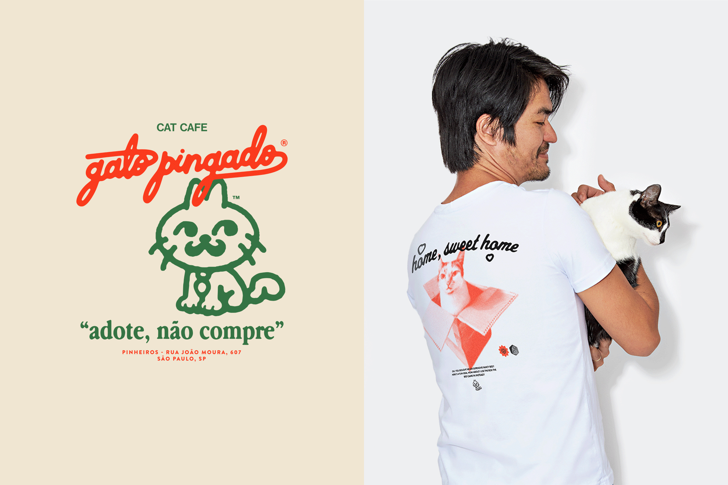 GATOPINGADO-005